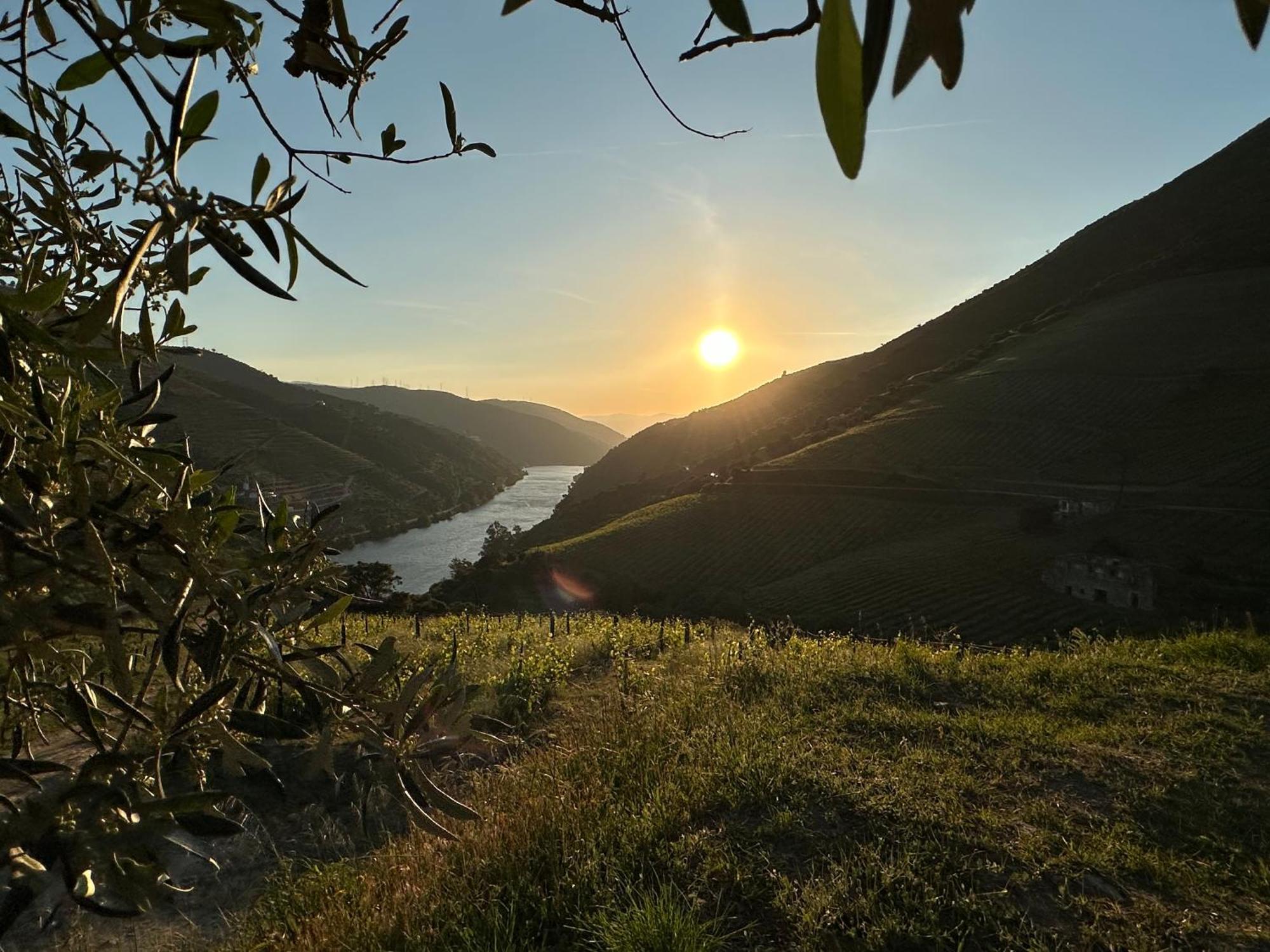Pmdourovalley 페소다레과 외부 사진
